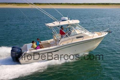 Grady White 290 ficha técnica y opiniones